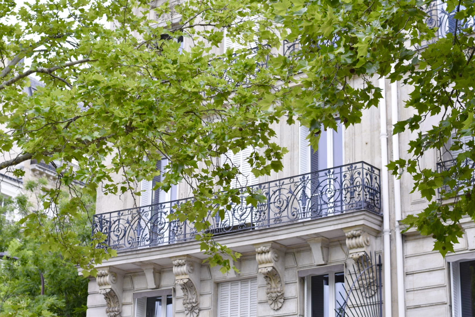 Louis Vuitton Reopens Avenue Montaigne Store Just in Time for